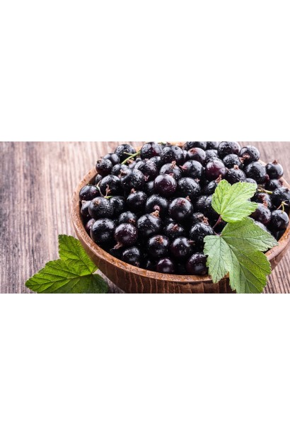 Смородина черная. Черный десерт ягоды